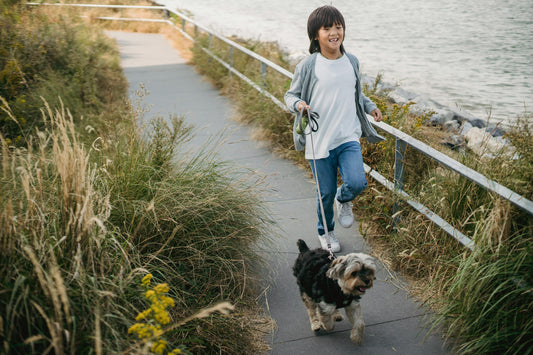 I 5 errori più comuni in passeggiata con il cane
