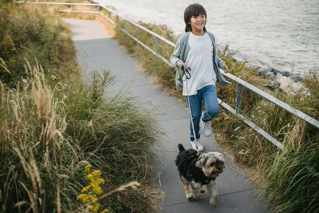 I 5 errori più comuni in passeggiata con il cane