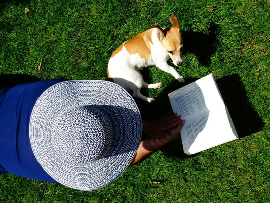 Cosa mi ha insegnato vivere con un cane (e che non trovi nei manuali)