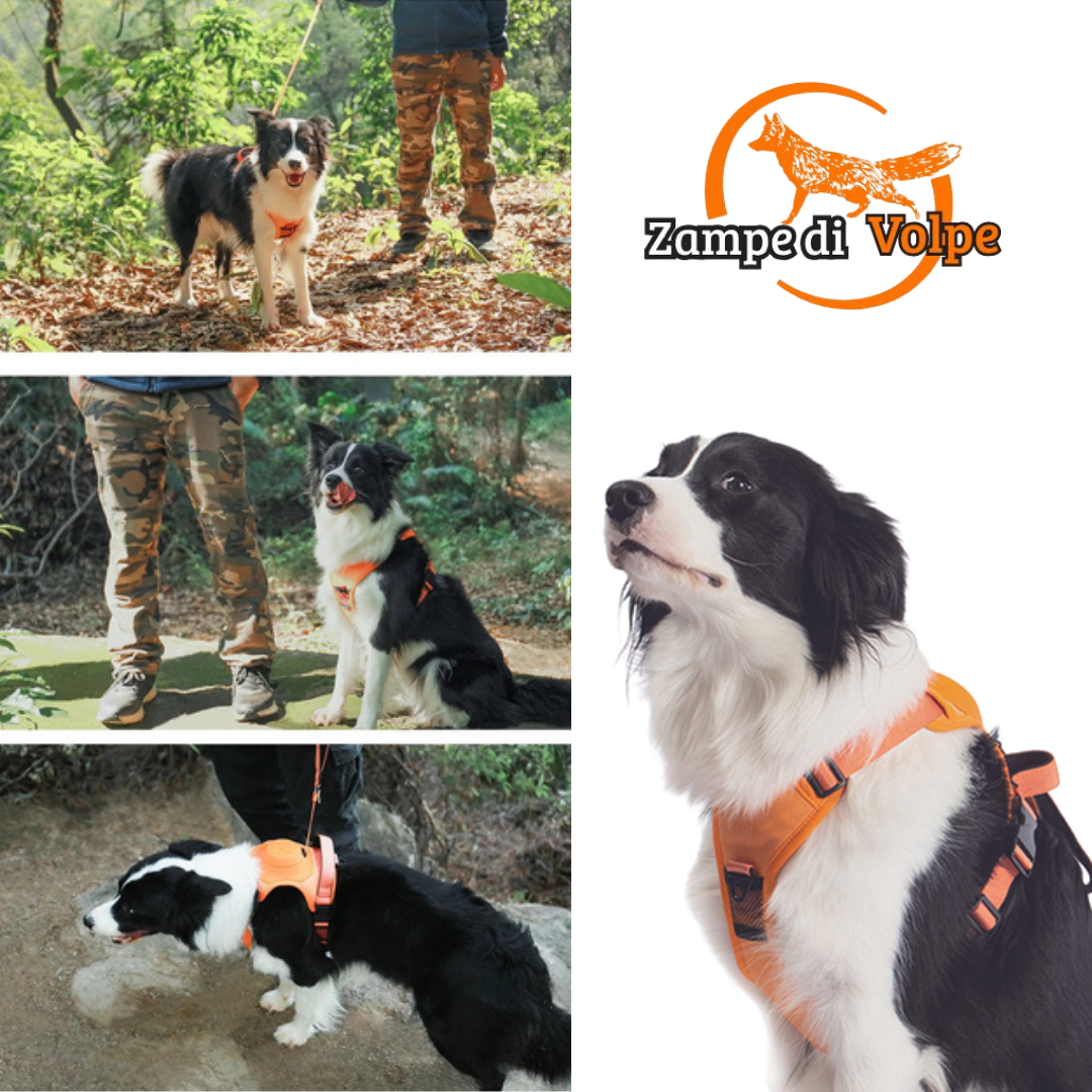 Pettorina Hands-Free