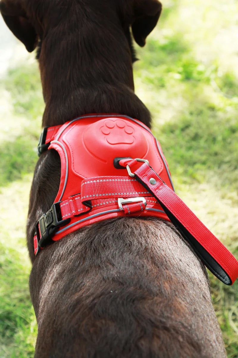 Pettorina Hands-Free