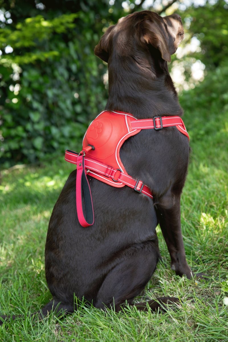 Pettorina Hands-Free